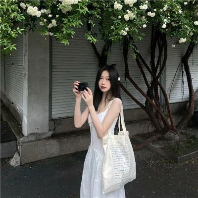 美人记·昭君